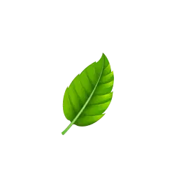 blog detail leaf